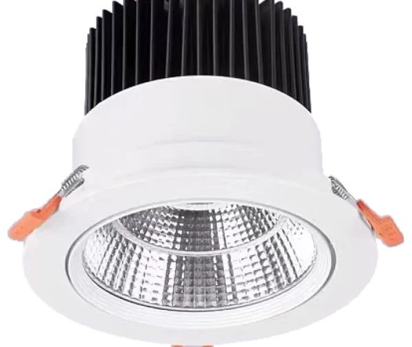 BIGLED DOWNLIGHT