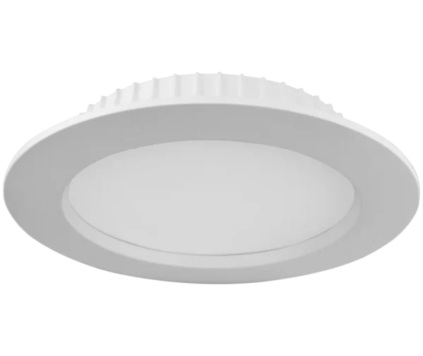 BIGLED DOWNLIGHT