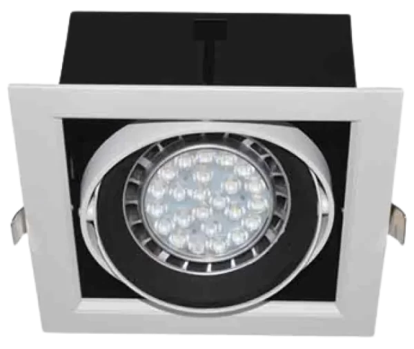 BIGLED DOWNLIGHT