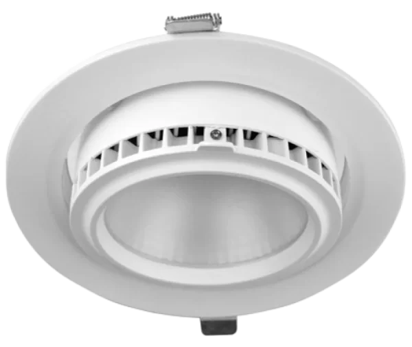 BIGLED DOWNLIGHT